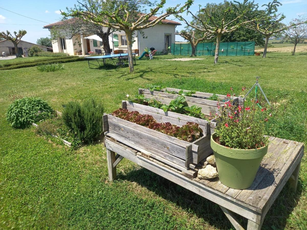 Maison Aux Portes Du Gers Lareole Εξωτερικό φωτογραφία